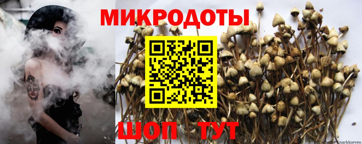 Псилоцибиновые грибы прущие грибы Анжеро-Судженск