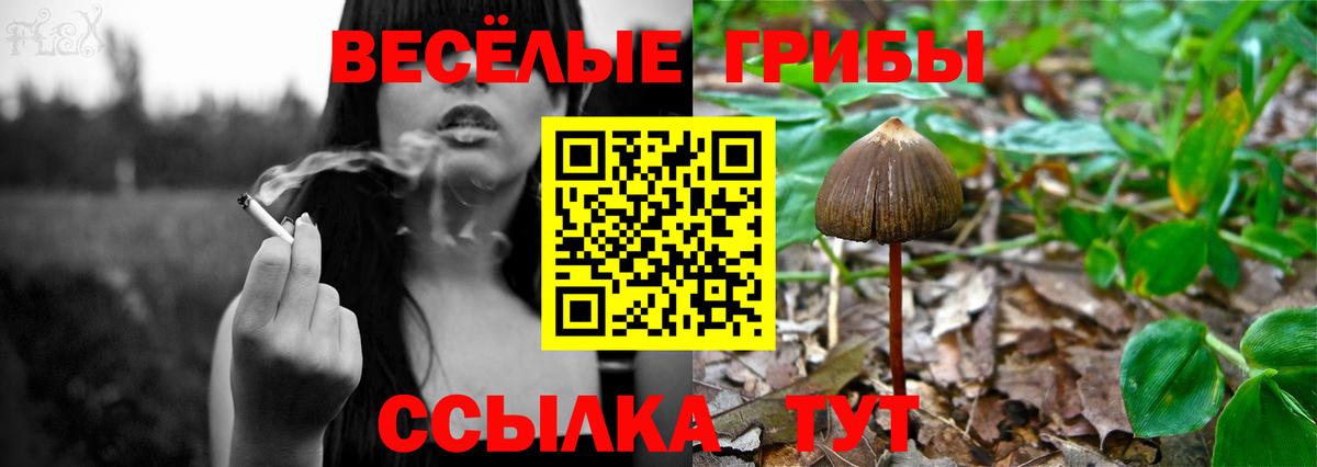 Псилоцибиновые грибы мухоморы  Вход с VPN  Анжеро-Судженск 