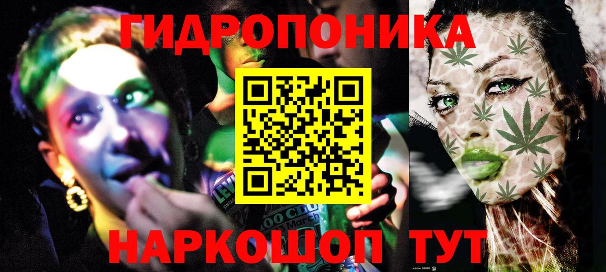 Бошки марихуана OG Kush Анжеро-Судженск